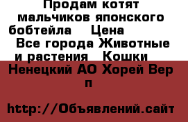 Продам котят мальчиков японского бобтейла. › Цена ­ 30 000 - Все города Животные и растения » Кошки   . Ненецкий АО,Хорей-Вер п.